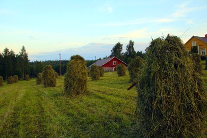 Hein�seip��t pellolla