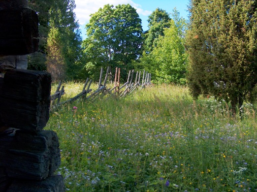 A meadow and old buildings